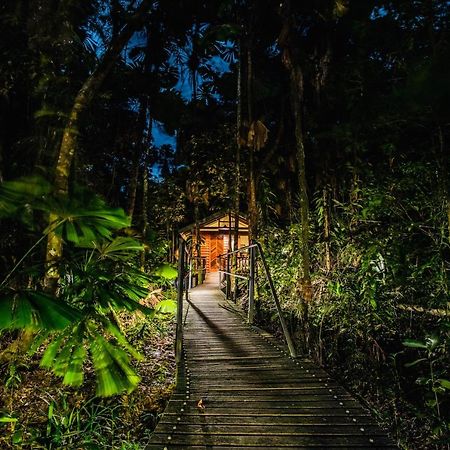 Daintree Wilderness Lodge Екстериор снимка