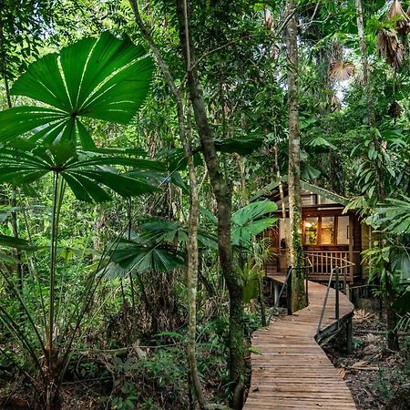 Daintree Wilderness Lodge Екстериор снимка