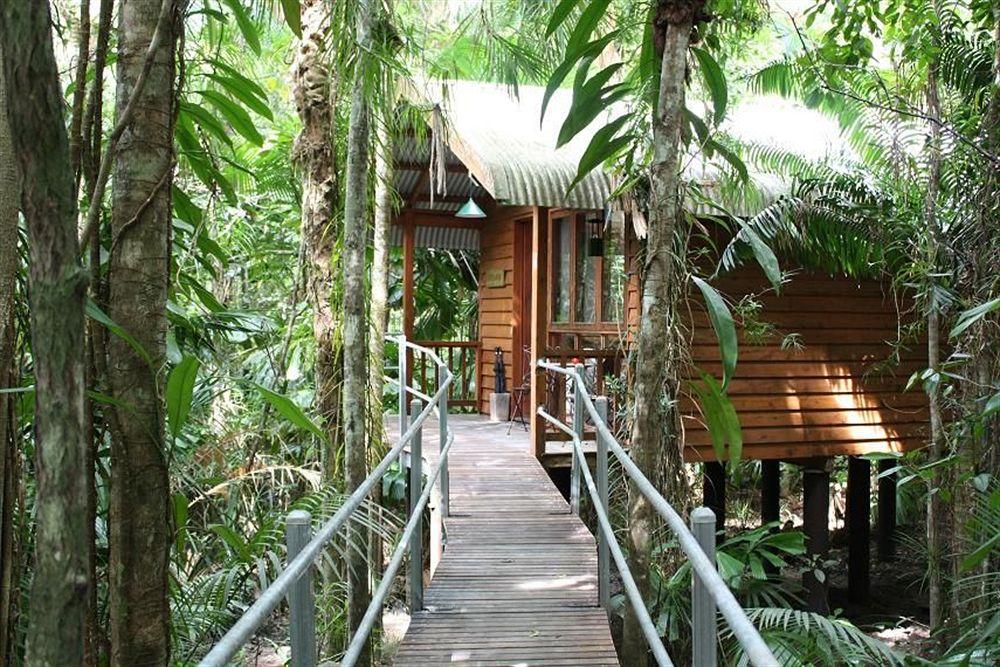 Daintree Wilderness Lodge Екстериор снимка