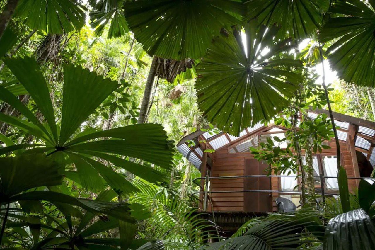 Daintree Wilderness Lodge Екстериор снимка