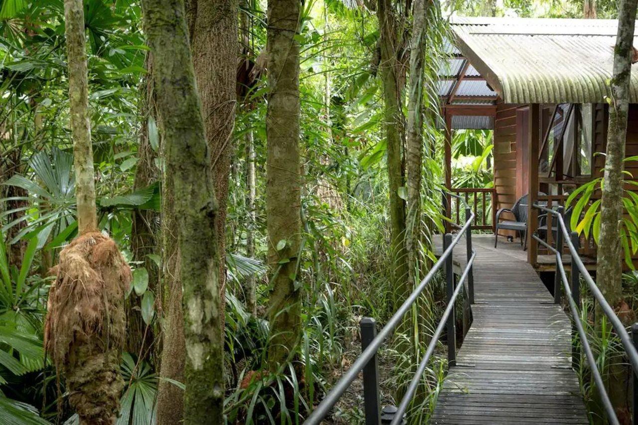 Daintree Wilderness Lodge Екстериор снимка