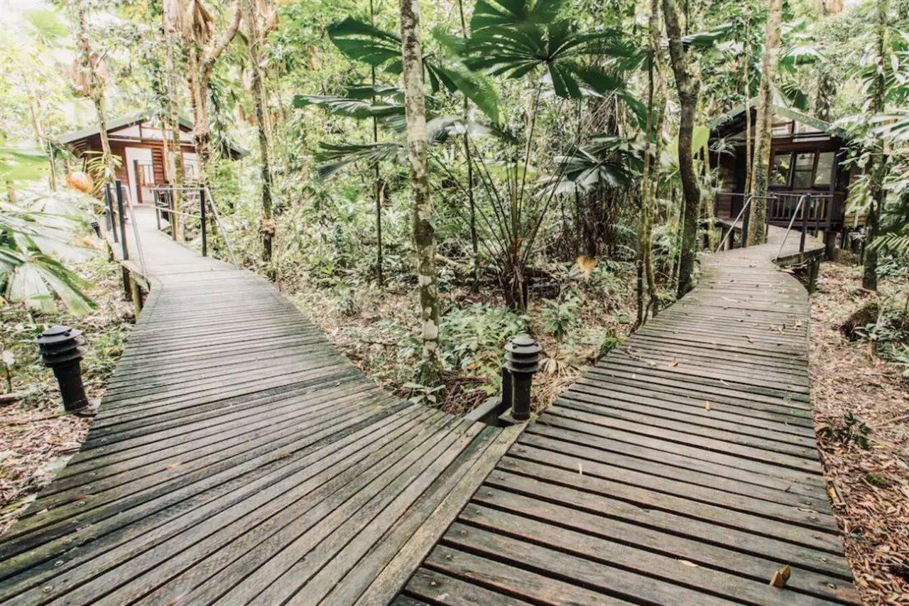 Daintree Wilderness Lodge Екстериор снимка
