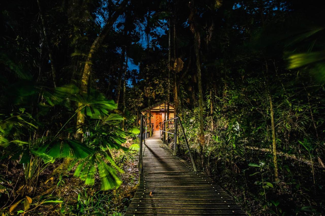 Daintree Wilderness Lodge Екстериор снимка