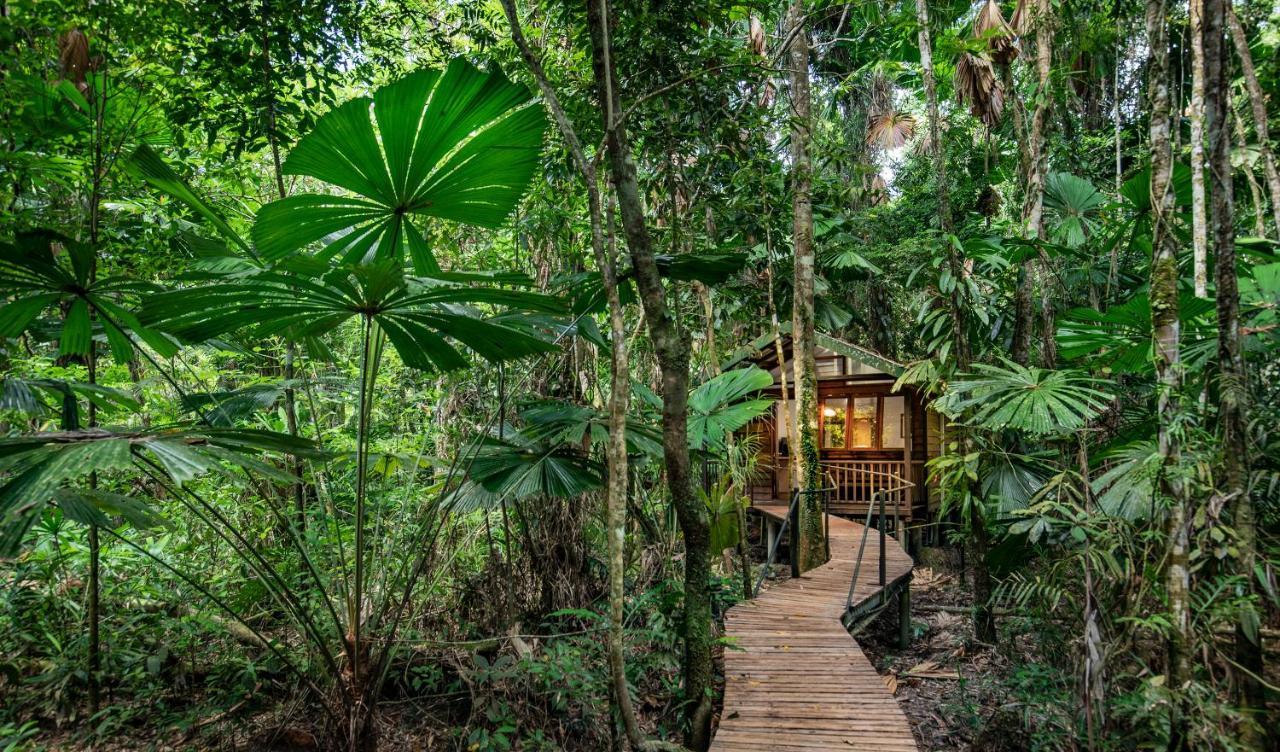 Daintree Wilderness Lodge Екстериор снимка