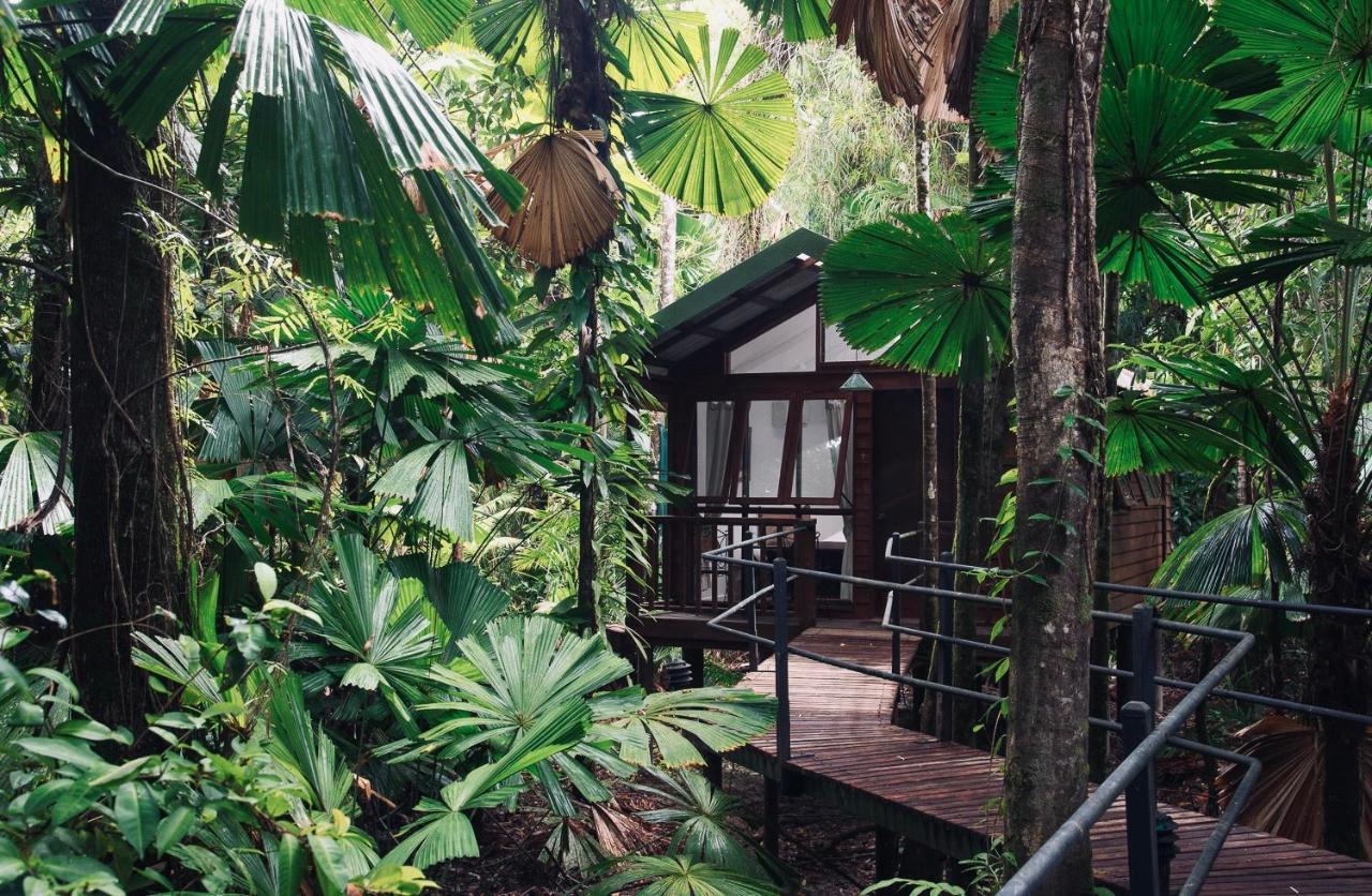 Daintree Wilderness Lodge Екстериор снимка
