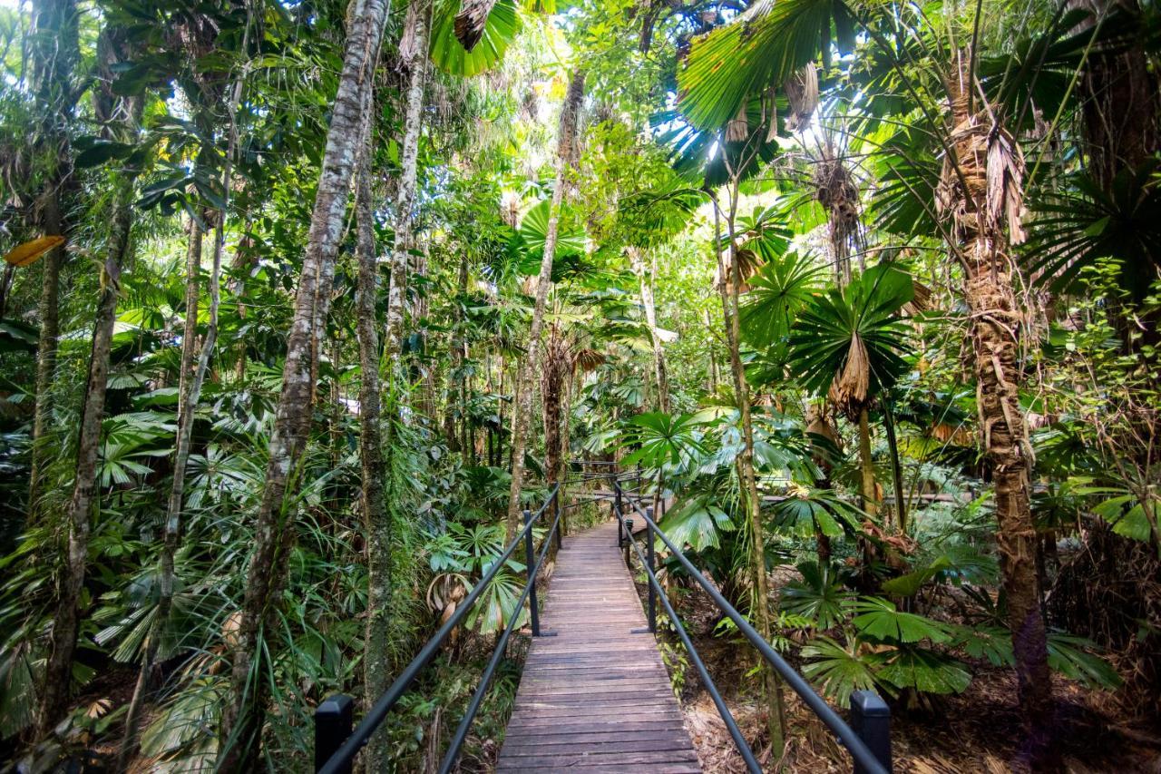 Daintree Wilderness Lodge Екстериор снимка