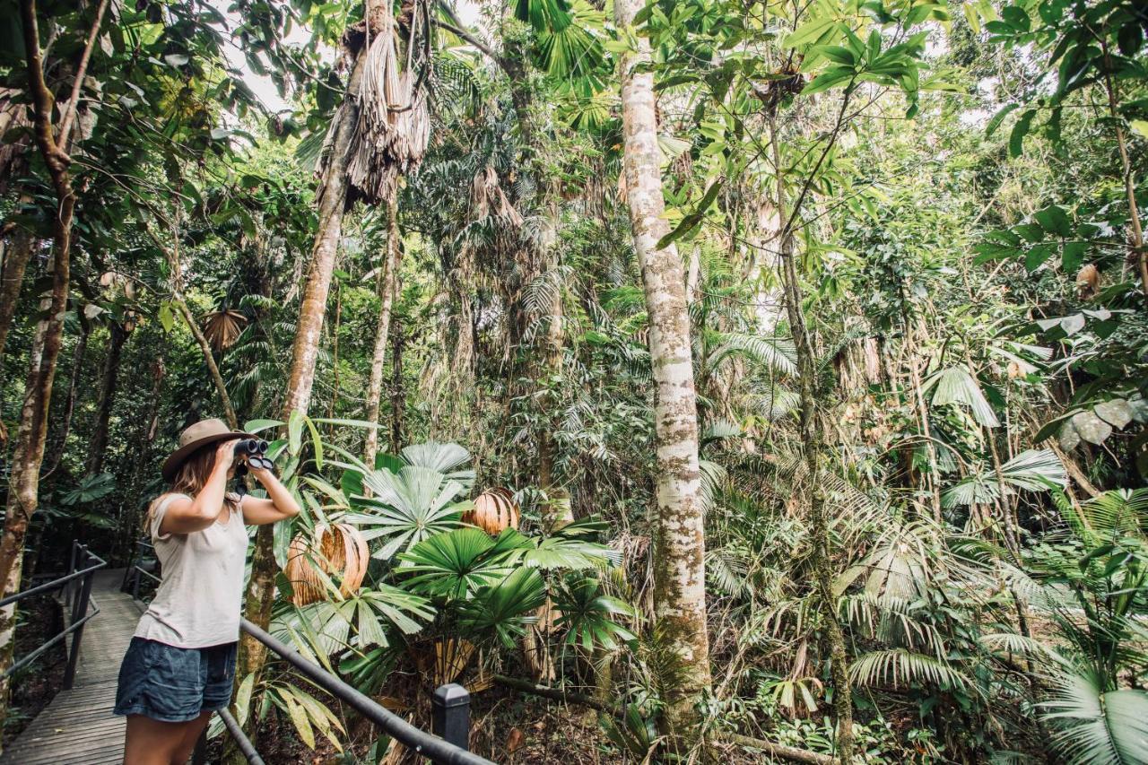 Daintree Wilderness Lodge Екстериор снимка