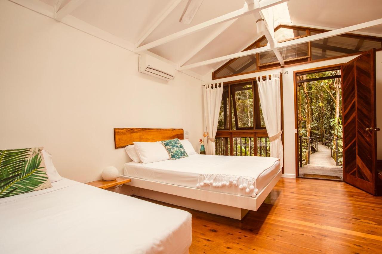 Daintree Wilderness Lodge Екстериор снимка