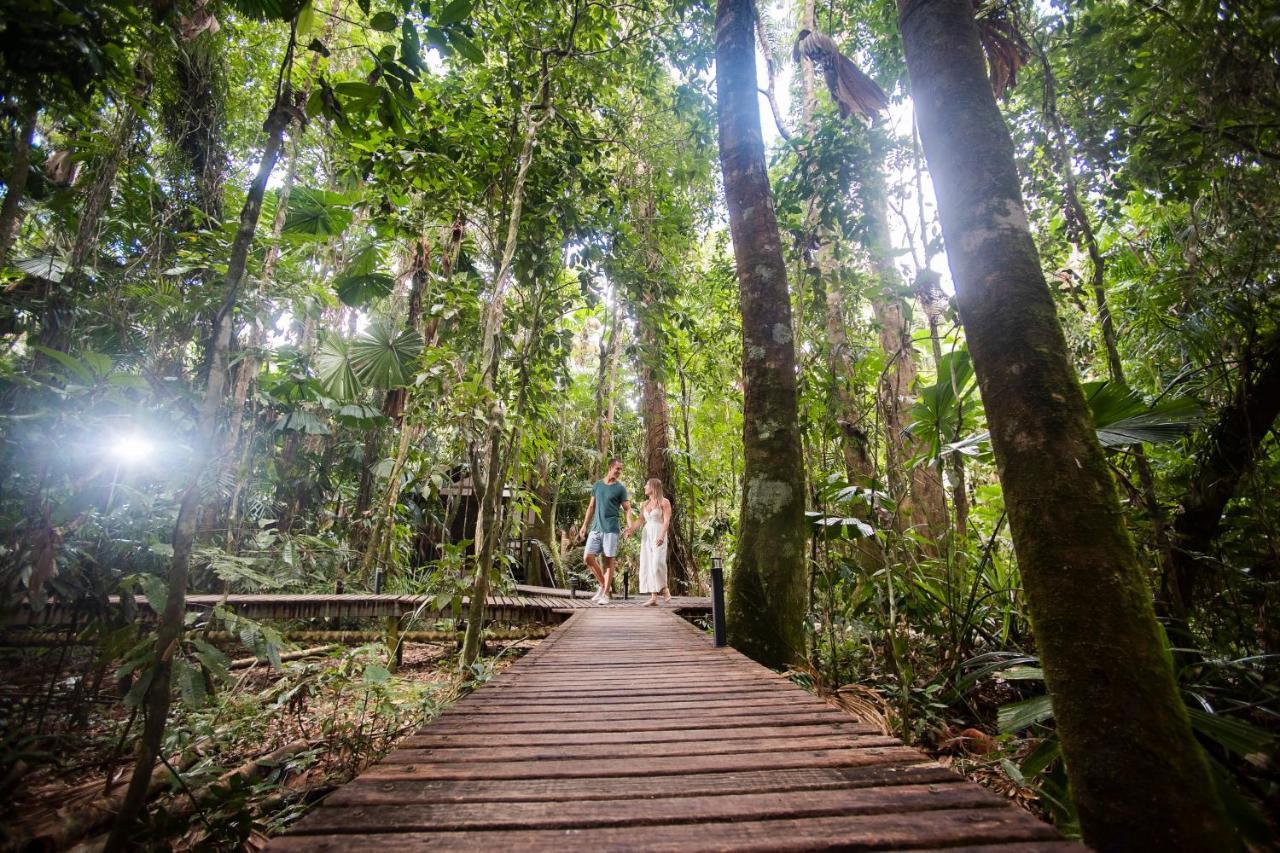 Daintree Wilderness Lodge Екстериор снимка