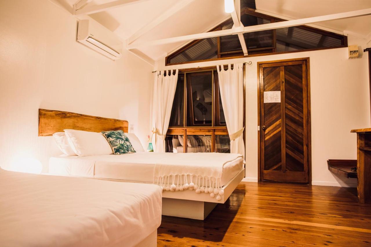 Daintree Wilderness Lodge Екстериор снимка