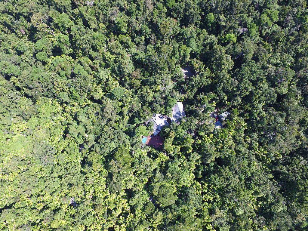 Daintree Wilderness Lodge Екстериор снимка