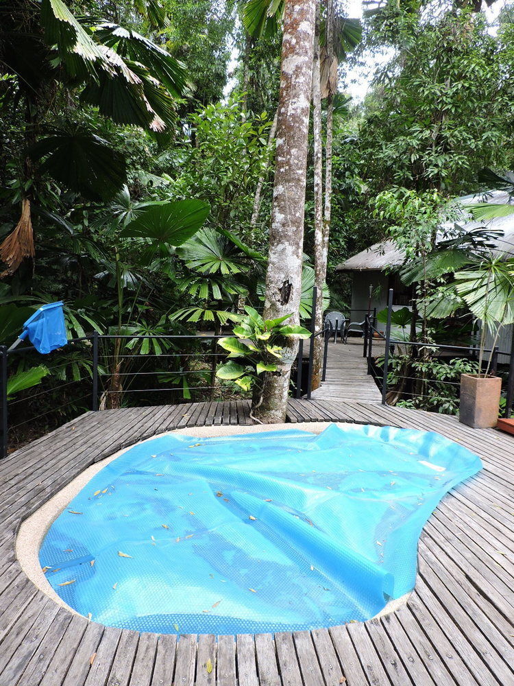 Daintree Wilderness Lodge Екстериор снимка