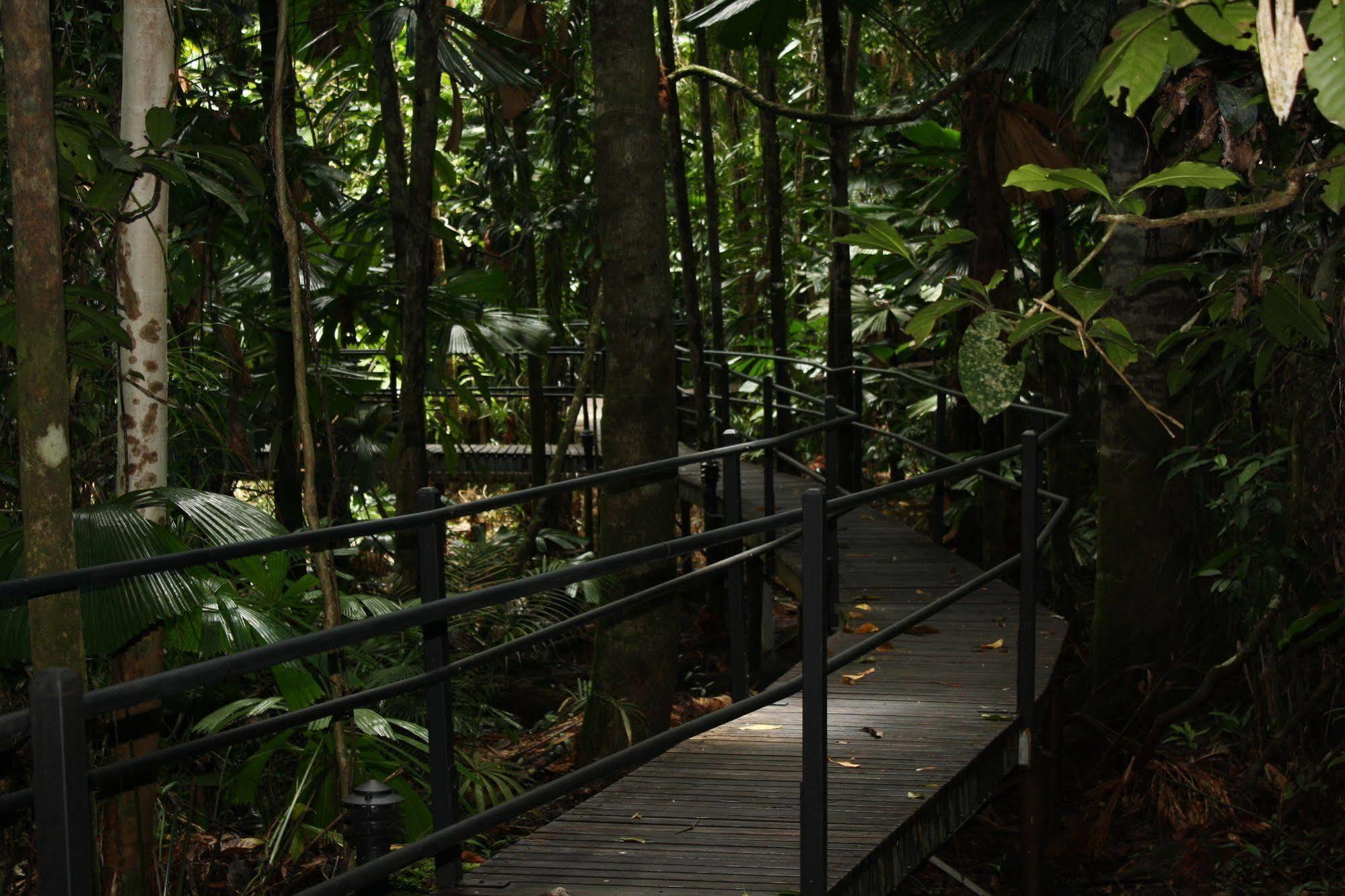 Daintree Wilderness Lodge Екстериор снимка