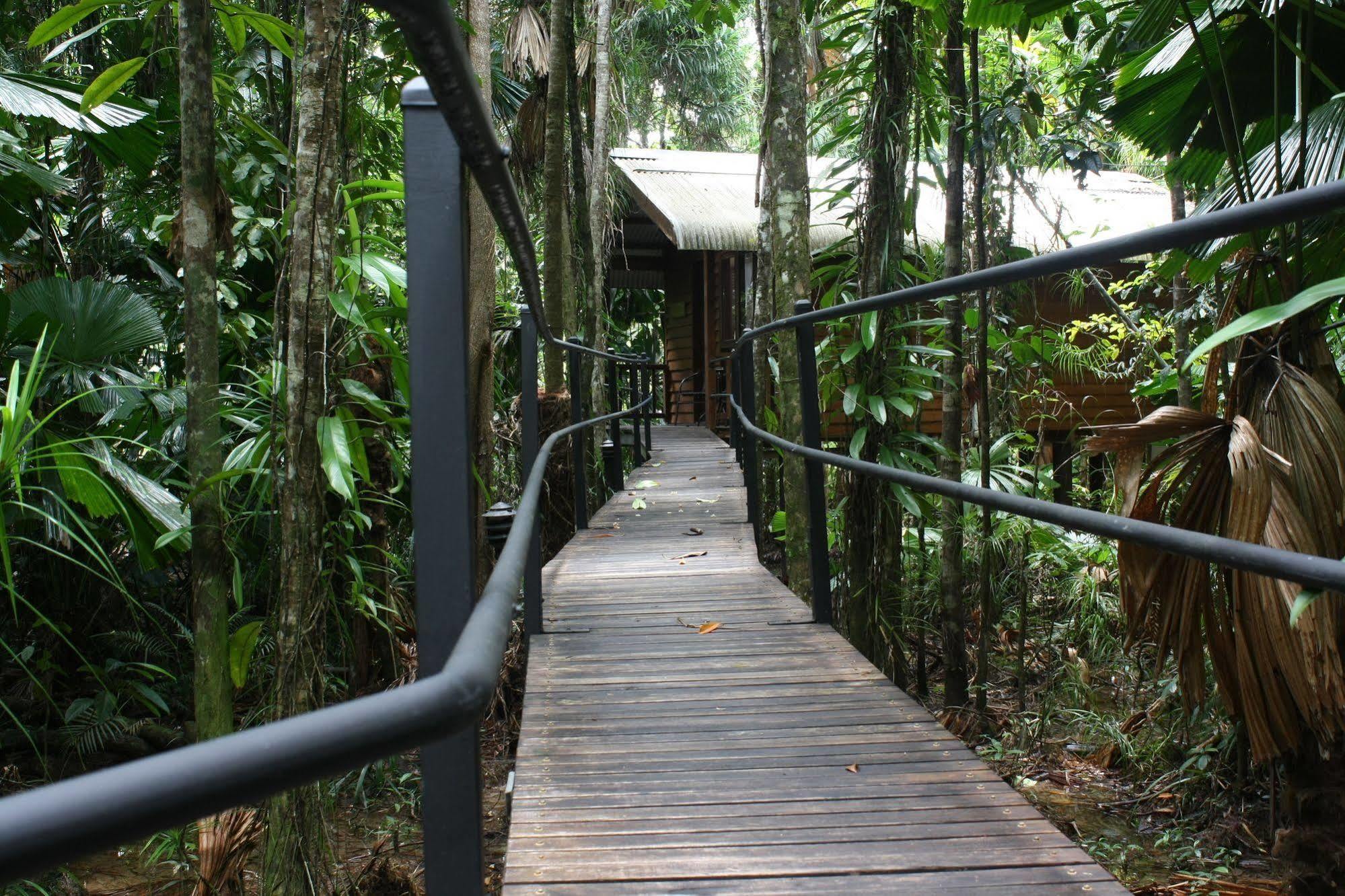 Daintree Wilderness Lodge Екстериор снимка