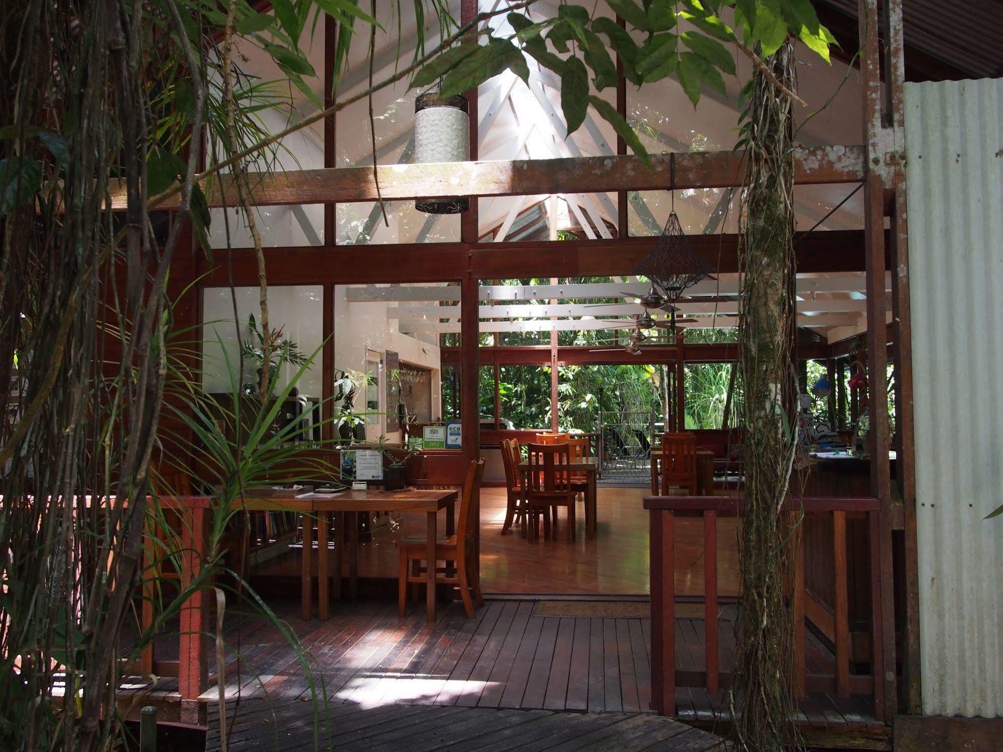 Daintree Wilderness Lodge Екстериор снимка