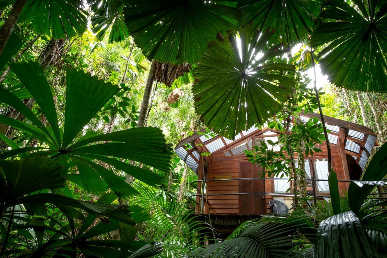 Daintree Wilderness Lodge Екстериор снимка